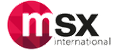 MSXI logo