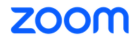 Zoom logo